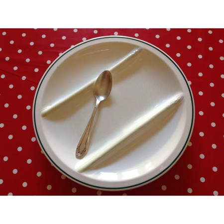 ASSIETTE ASPERGES ancienne