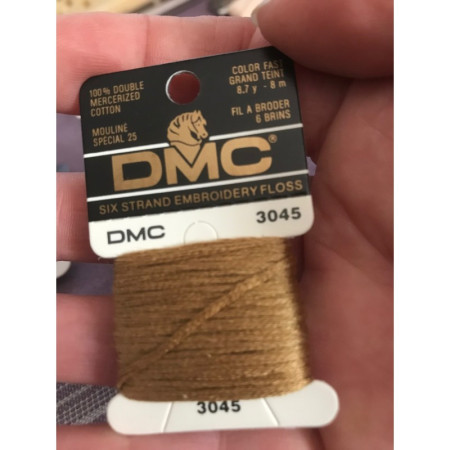 Boite de 12 échevettes DMC 6 brins
