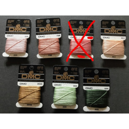 Boite de 12 échevettes DMC 6 brins