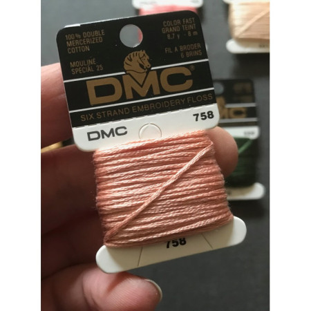 Boite de 12 échevettes DMC 6 brins