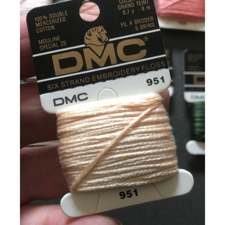 Boite de 12 échevettes DMC 6 brins