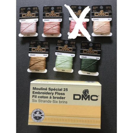 Boite de 12 échevettes DMC 6 brins