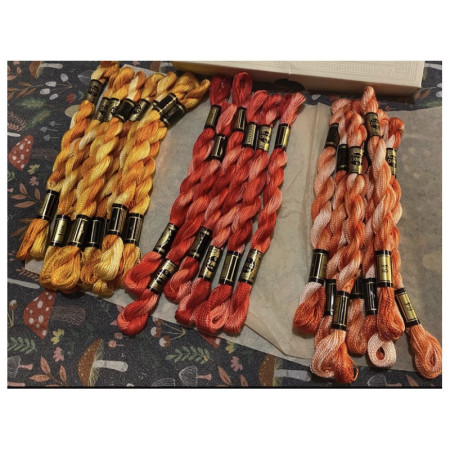 Cotons DMC perlé "Variations" pour broderie au choix - NEUF