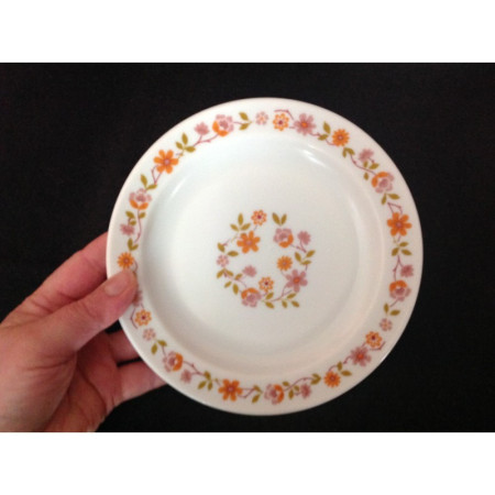 LOT 6 ASSIETTES ARCOPAL "Scania"