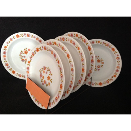 LOT 6 ASSIETTES ARCOPAL "Scania"