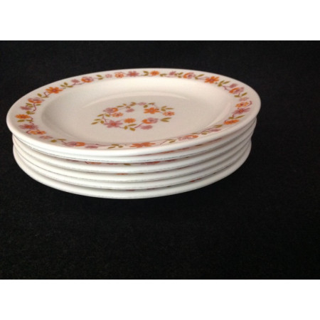 LOT 6 ASSIETTES ARCOPAL "Scania"