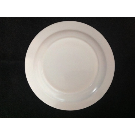 LOT 6 ASSIETTES ARCOPAL "Scania"
