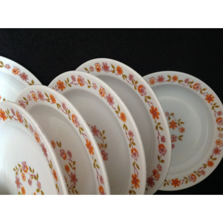 LOT 6 ASSIETTES ARCOPAL "Scania"