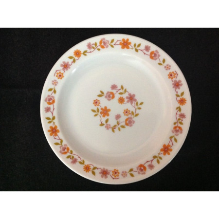 LOT 6 ASSIETTES ARCOPAL "Scania"