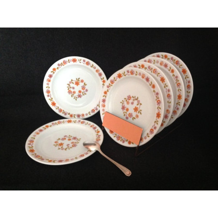 LOT 6 ASSIETTES ARCOPAL "Scania"