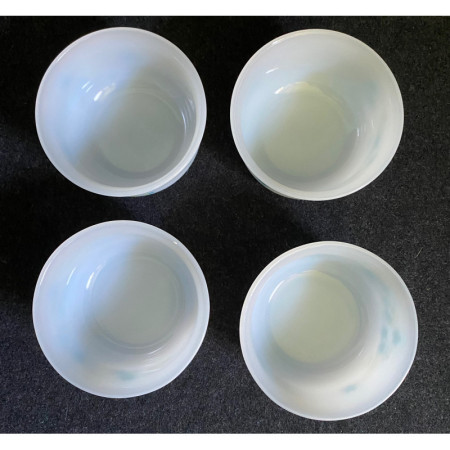 Lot de 4 RAMEQUINS ARCOPAL "Myosotis"