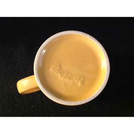 MUG "DISNEYLAND PARIS"