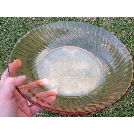 Plat de service ARCOROC "Rosaline"