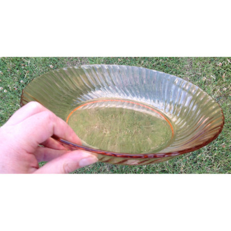 Plat de service ARCOROC "Rosaline"